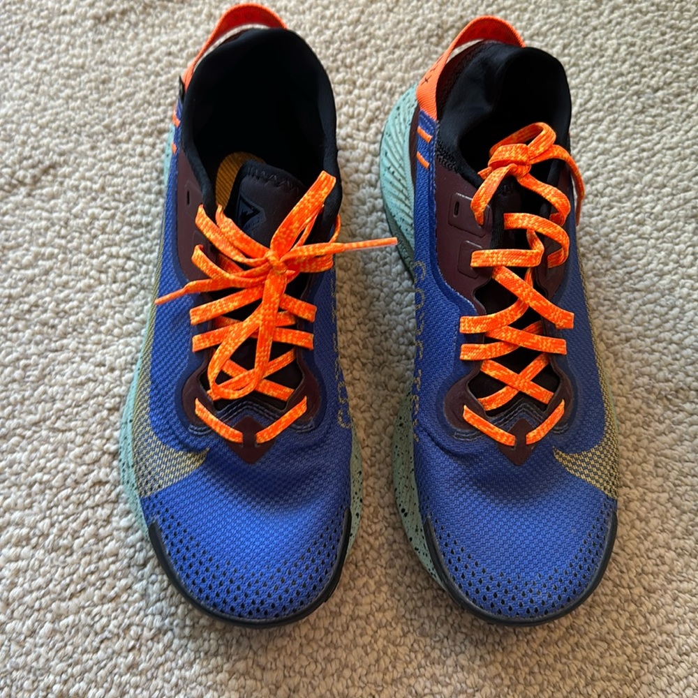 Nike Pegasus GTX shoes